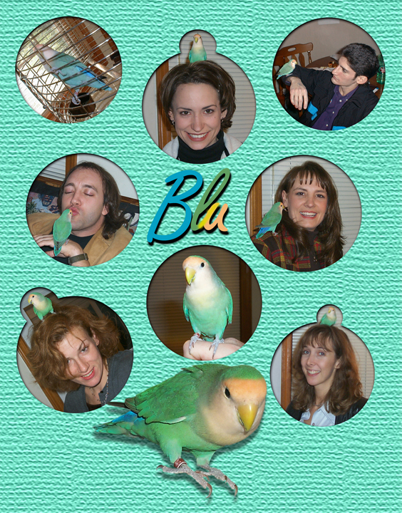 gal/1999 - 2013 Calendars/1999_blue.jpg